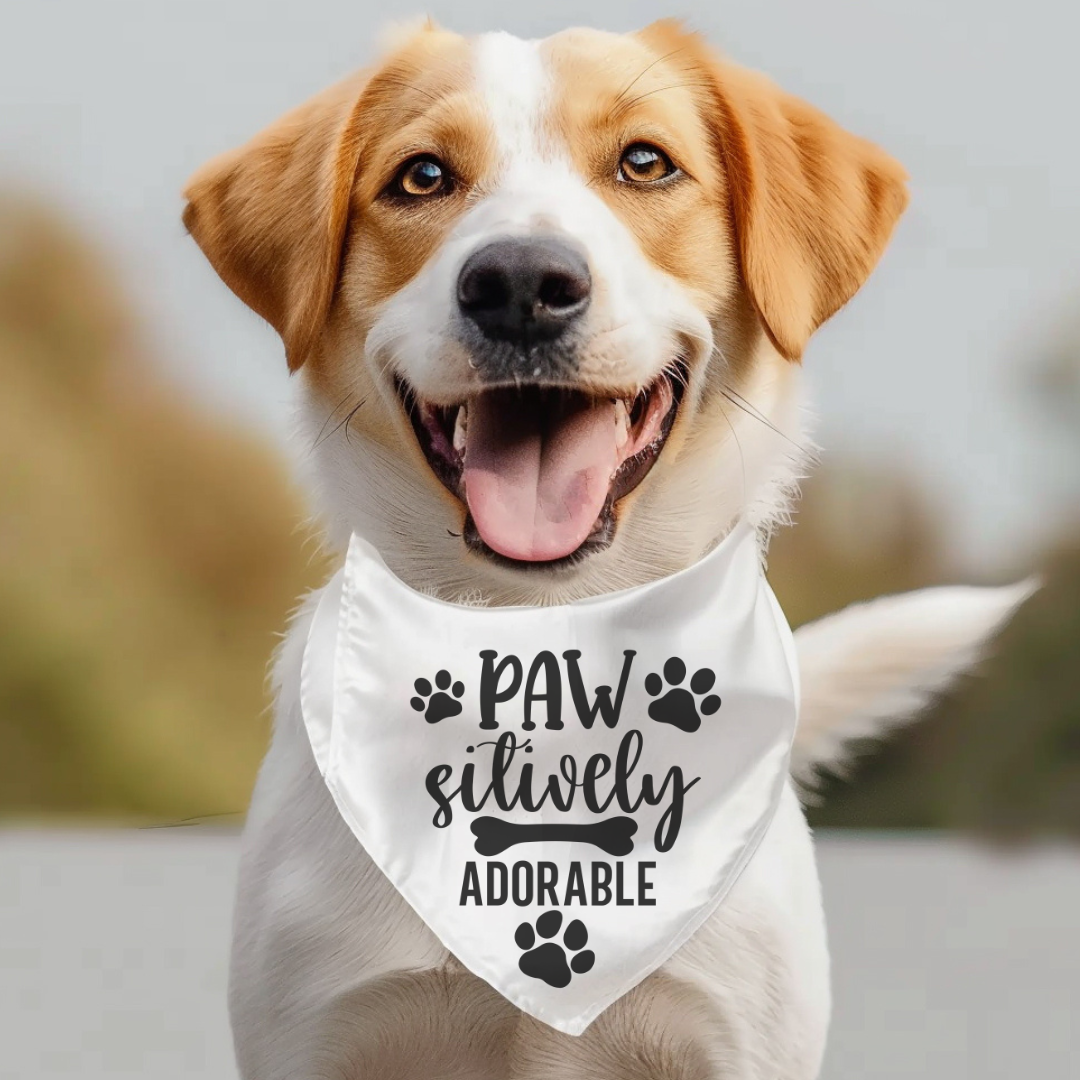 Paw-sitively Adorable Pet Bandana Collar for Dogs | Cute Dog Accessories